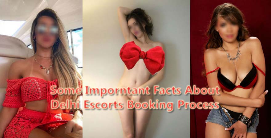 Some Imporntant Facts About Delhi Escorts Booking Process